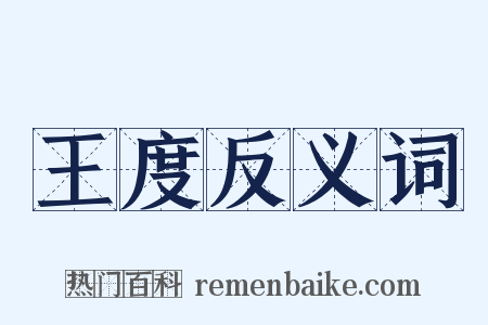 王度反义词是什么意思的图片